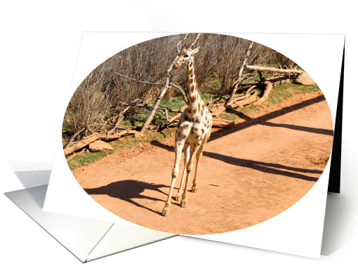 Giraffe card (767595)