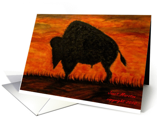 Bison-Buffalo Oil Painting card (767610)