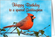 Happy Birthday Goddaughter Cardinal Bird card