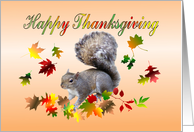 Happy Thanksgiving - Squirrel card