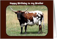 Longhorn Cow, Brother Happy Birthday, Custom Text card