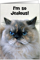 Happy Birthday Himalayan Cat, Custom Text card