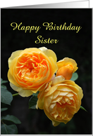 Sister Happy Birthday June Birth Flower, Rose, Custom Text card