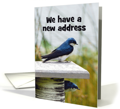 We have a New Address, Tree Swallow, Custom Text card (1391560)