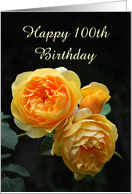 100th birthday, Yellow English Roses, Custom Text card