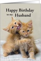 Husband Happy Birthday, Orange Kittens, Custom Text card