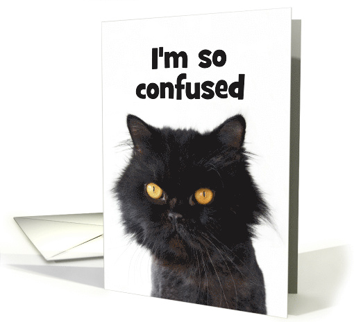 Confused Persian Cat Happy Birthday card (1461330)