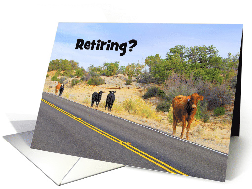 Roam Free in Your Retirement, Free Range Cattle card (404847)