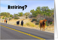 Roam Free in Your Retirement, Free Range Cattle card