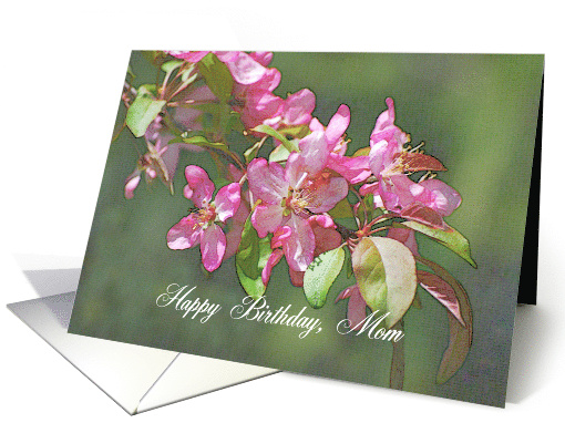 Apple Blossoms Happy Birthday Mom card (429537)