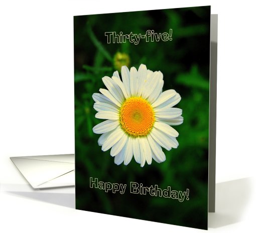 Thirty-Five Daisy Happy Birthday card (429662)