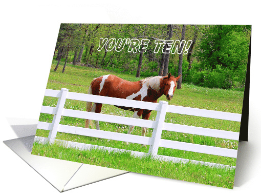 Paint Horse Tenth Birthday card (430210)