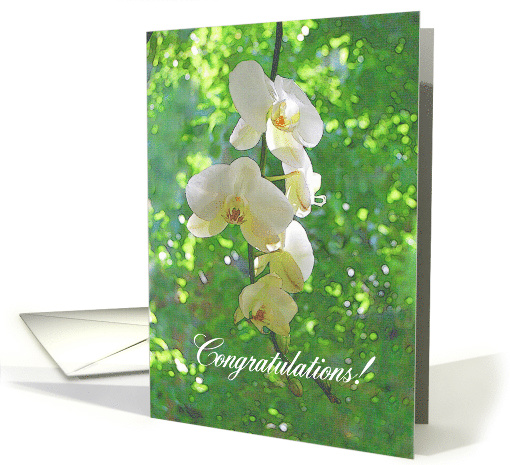 White Orchids Wedding Congratulations card (430547)