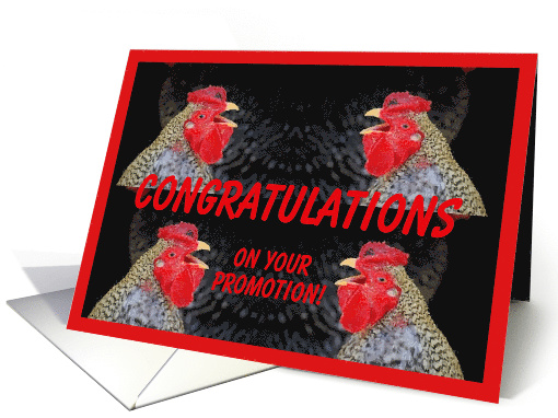 Crowing Roosters Promotion Congratulations card (430804)