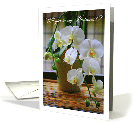 Will You Be my Bridesmaid? - white orchids card (433223)
