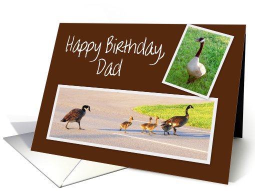Happy Birthday to Dad -- Goose Family card (437851)