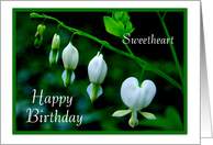 Happy Birthday to Sweetheart - White Hearts card