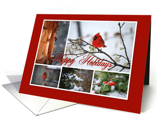 Happy Holidays Cardinal Winter Scenes Collage card (486057)