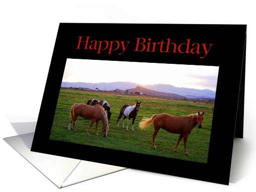Happy Birthday Horses at Sunset card (498756)