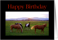 Happy Birthday Horses at Sunset card