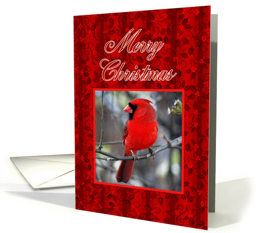 Merry Christmas Cardinal and Holly card (500763)