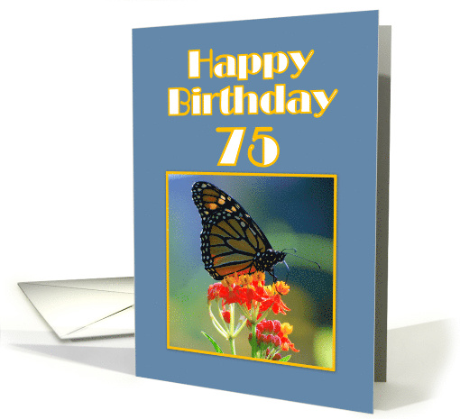 Happy Birthday 75th Monarch Butterfly card (505626)