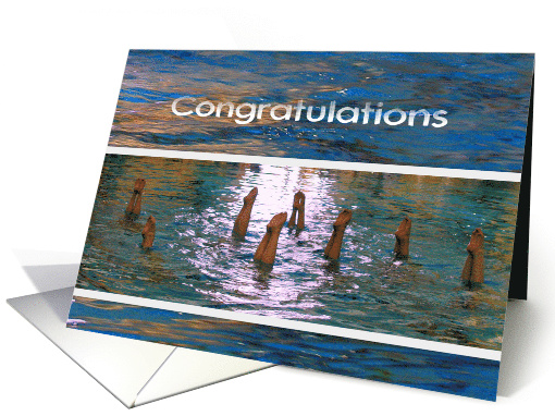 Synchronized Swimming Congratulations Feet in the Air card (515667)