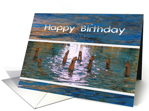 Synchronized Swimming Happy Birthday Feet in the Air card (515698)