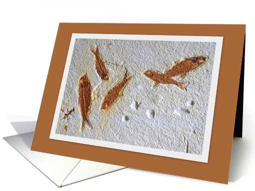 Fossil Fish Blank Notecard card (515897)