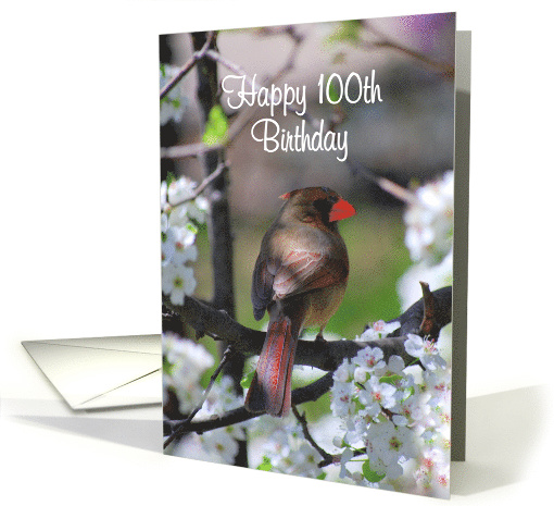 Happy 100th Birthday Female Cardinal in Flowering Tree card (605452)