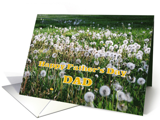 Dandelions Humor Father's Day Dad card (610086)