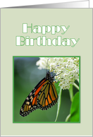 Happy Birthday Female Monarch Butterfly on White Milkweed Flower card