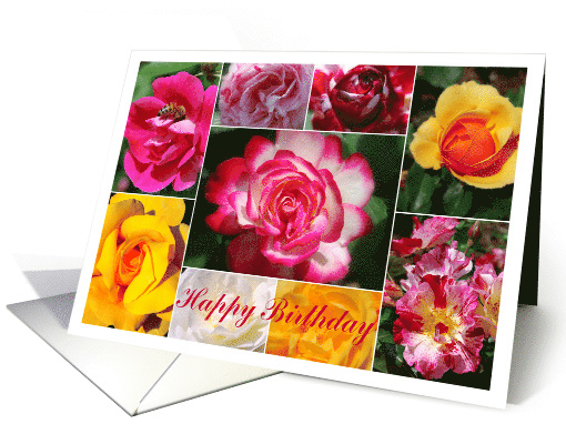 Happy Birthday, June Birth Flower Rose, Collage card (648856)
