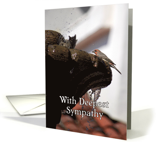 With Deepest Sympathy, Birds in Fountain card (654557)