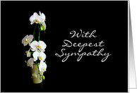 Deepest Sympathy White Orchids card