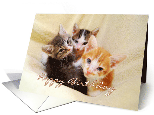 Happy Birthday Three Kittens card (688208)