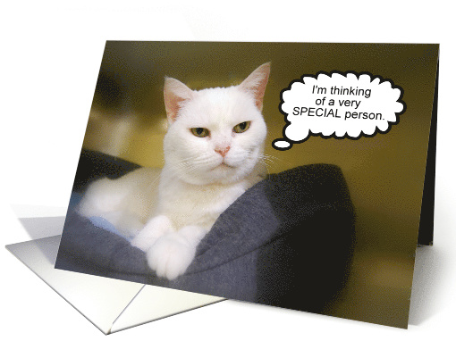 White Cat Friend Birthday Humor card (852494)