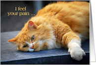 I Feel Your Pain - Feel Purr-fect Soon Orange Cat card