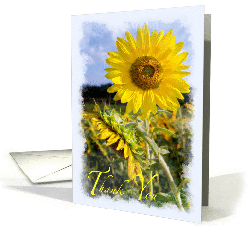 Thank You for standing by me  Sunflower friendship card (1148478)