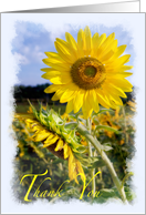 Thank You for standing by me  Sunflower friendship card