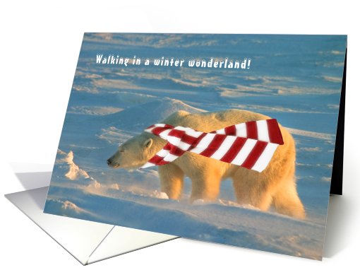 Polar wonderland walk card (531248)
