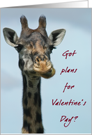 Giraffe Valentine plans card