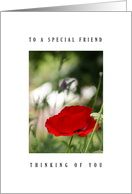 Special friend - poppy card