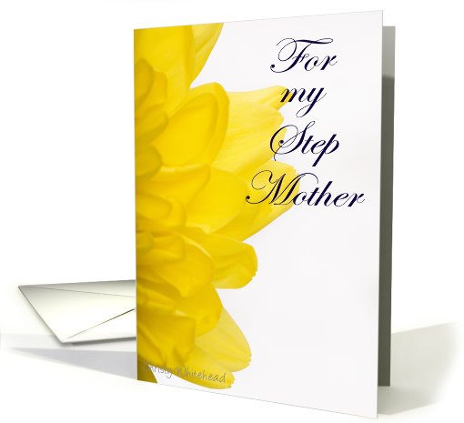Happy Birthday STEP MOTHER (yellow petals) card (423261)