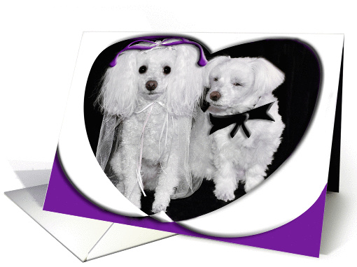 Wedding Congratulations, Dogs dressed for a wedding card (854758)