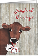 Cow Jingle Bell Christmas card
