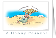 happy jewish passover pessach card