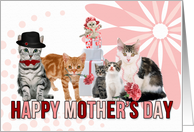 Happy Mother’s Day for Cat Lover in Pink and Red card