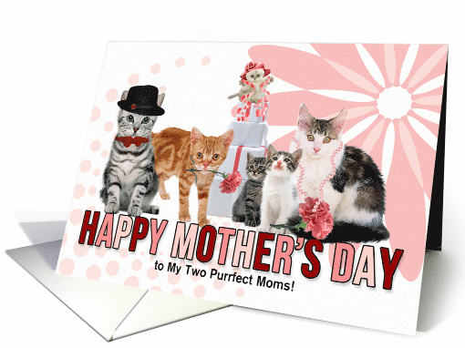 for Both My Moms on Mother's Day Cat Lover Pink and Red card (1030145)