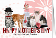 for Grandma on Mother’s Day Cat Lover Pink and Red card